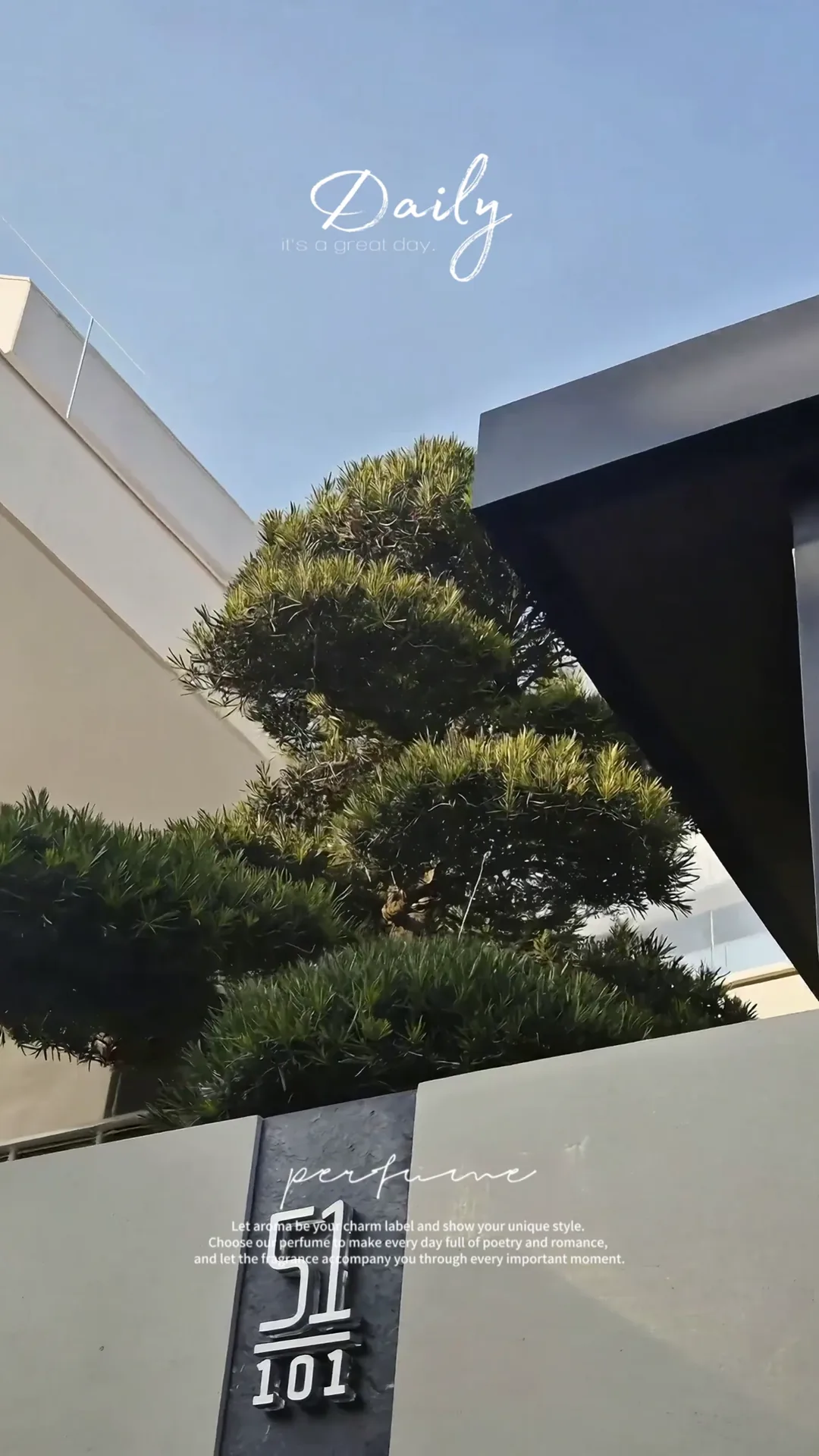 温州七都荣锦园51栋庭院视频封面
